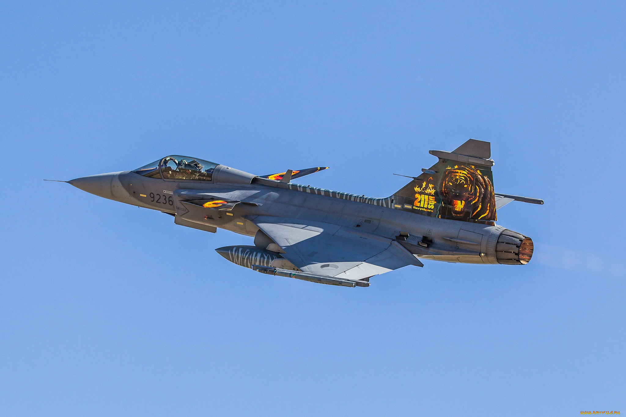 jas-39c gripen, ,  , 